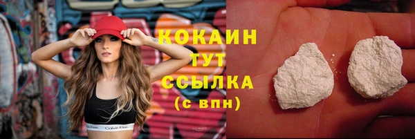 прущие грибы Пролетарск