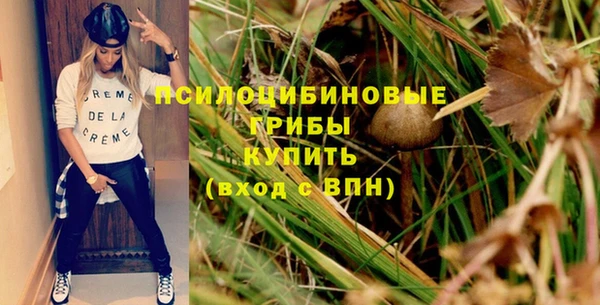 МДПВ Абинск