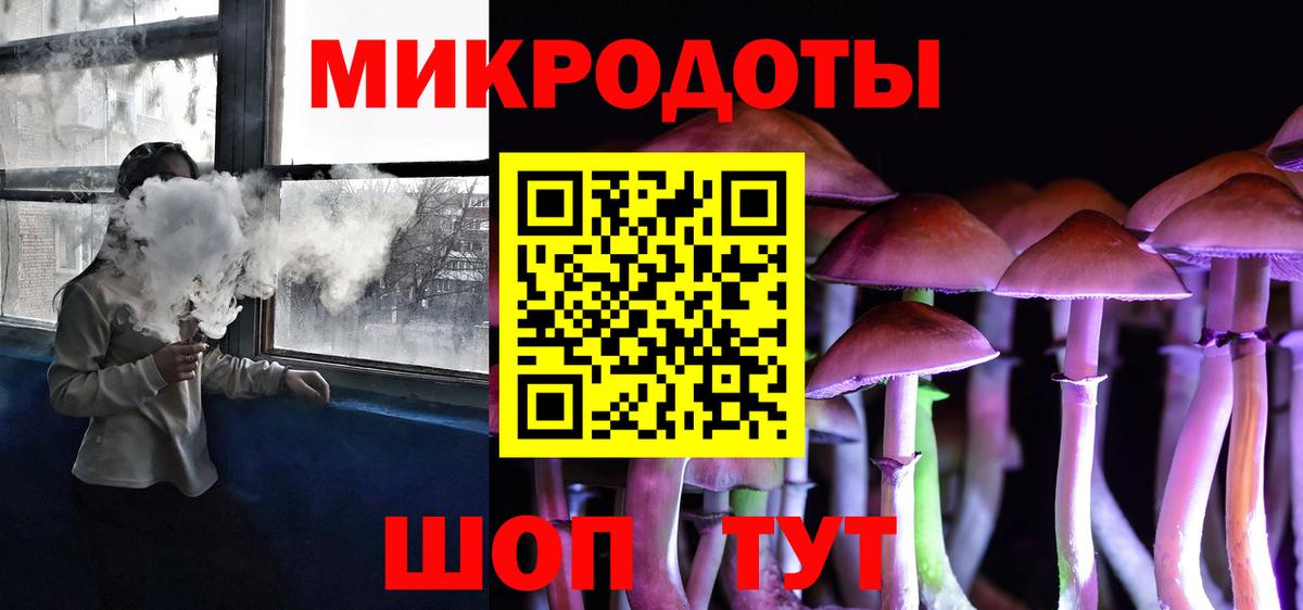 Псилоцибиновые грибы Psilocybine cubensis Людиново